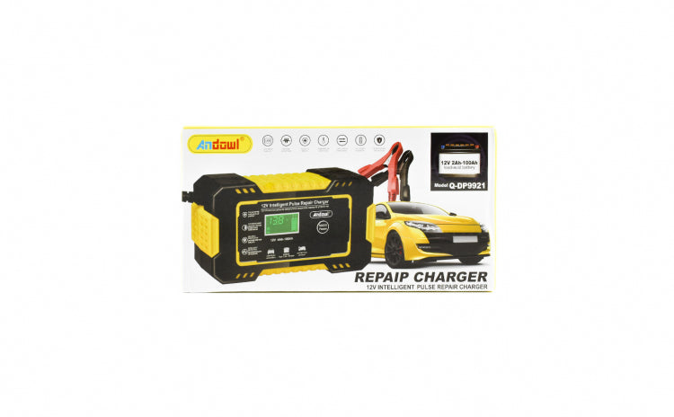 Incarcator baterie auto Q-DP9921, 12V